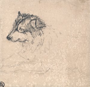 Arctic Dog, Facing Left by James Ward